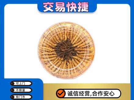 攀枝花回收虫草礼盒